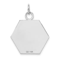 14k White Gold Red Enamel Medical Jewelry Pendant-XM442
