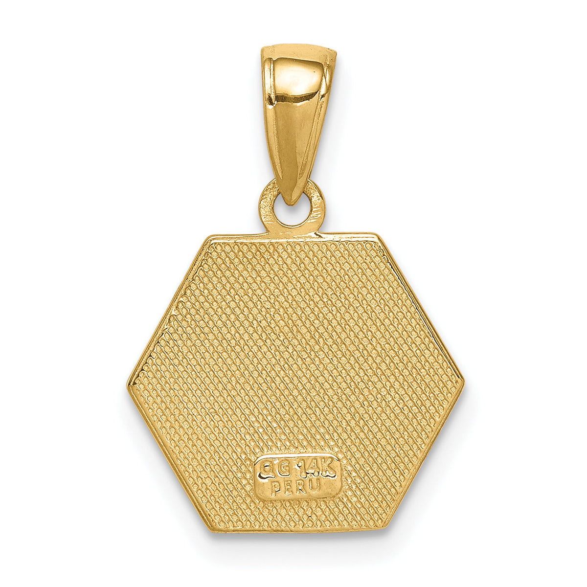 14k Enameled Textured Back Medical Disk Pendant-XM522