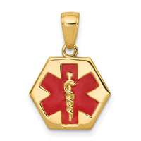 14k Enameled Textured Back Medical Disk Pendant-XM522