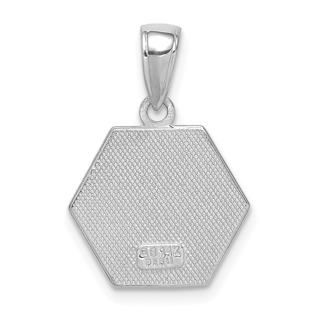 14K White Gold Textured Back Enameled Medical Disk Pendant-XM522W