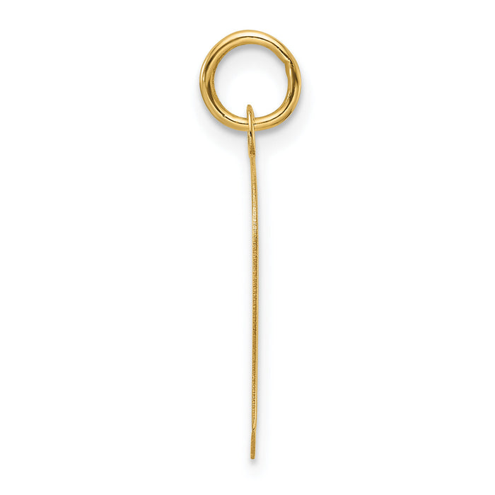 14k Plain Medium .013 Gauge Facing Left Engravable Boy Head Charm-XM668/13