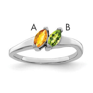 14k White Gold Family Jewelry Ring Mounting-XMR62/2W