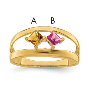 14k Family Jewelry Ring Mounting-XMR63/2