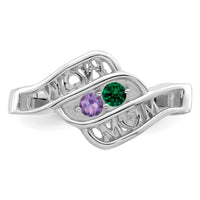 14k White Gold Family Jewelry Ring Mounting-XMR66/2W