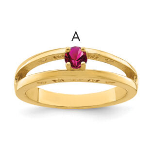 14k Family Jewelry Ring Mounting-XMR71/1