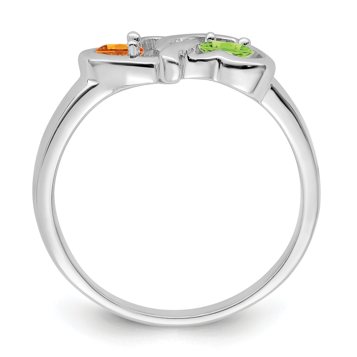14k White Gold Family Jewelry Ring Mounting-XMR92/2W