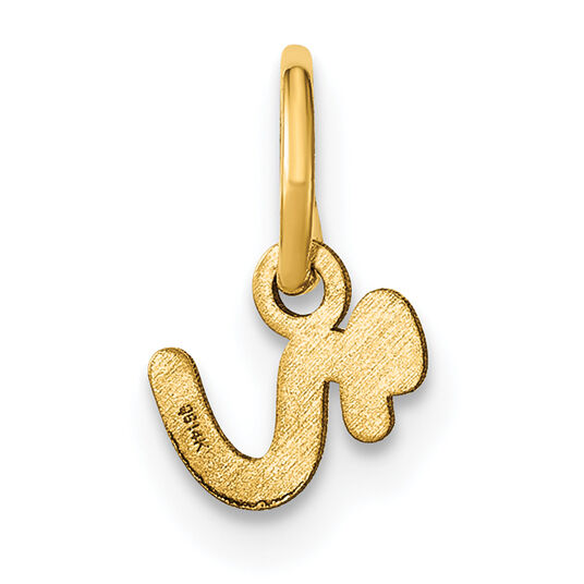 14KY Lower case Letter R Initial Charm-XNA1307Y/R