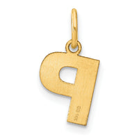 14ky Letter P Initial Pendant-XNA1337Y/P