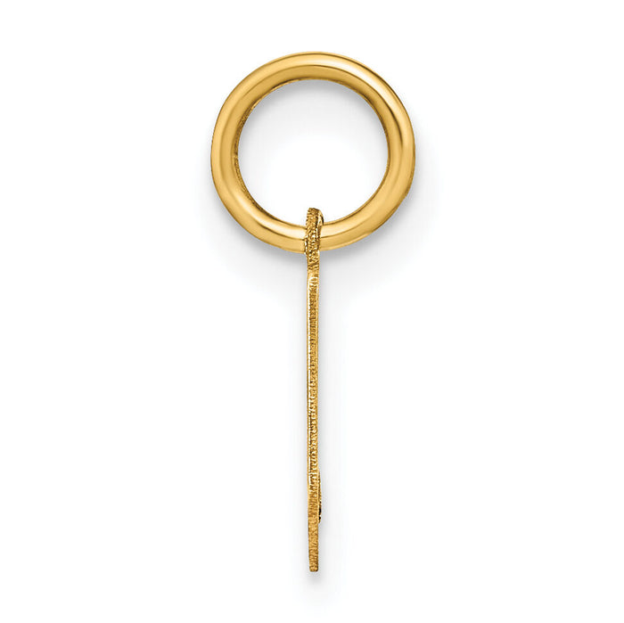 14ky Lowercase Letter V Initial Pendant-XNA1383Y/V