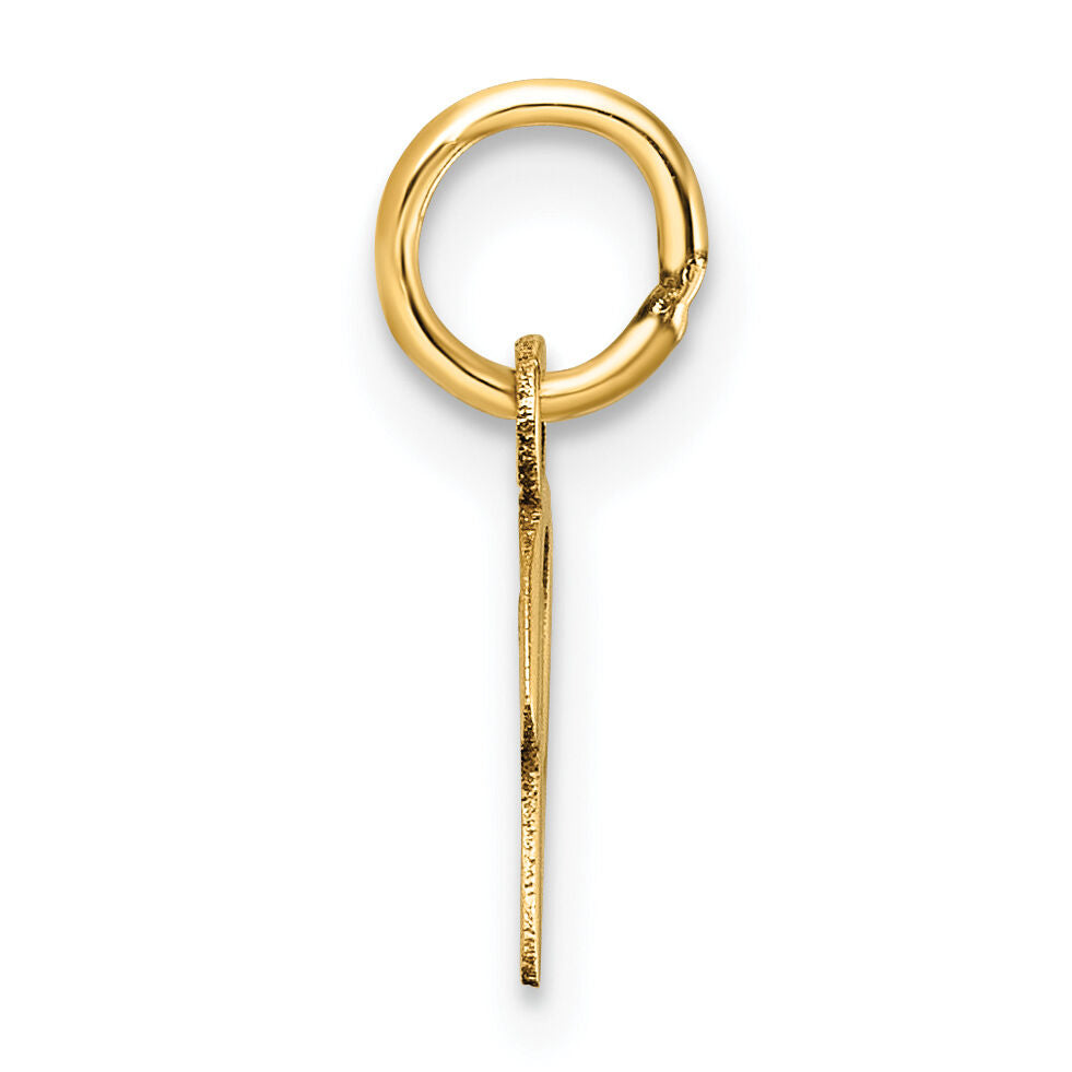 14K Uppercase Letter P Initial Charm-XNA1467Y/P