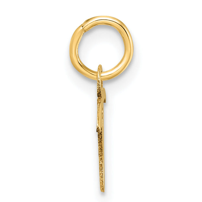 14K Uppercase Letter T Initial Charm-XNA1467Y/T