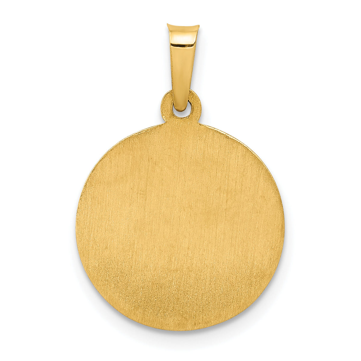 14k Polished and Satin Sacred Heart of Jesus Medal Hollow Pendant-XR1237