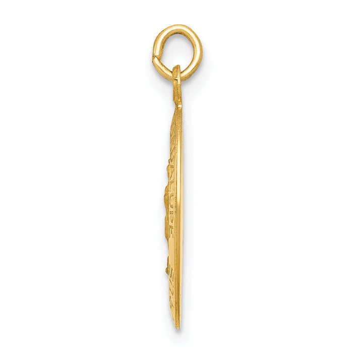 14k Polished and Satin Our Lady of Guadalupe Medal Pendant-XR1249