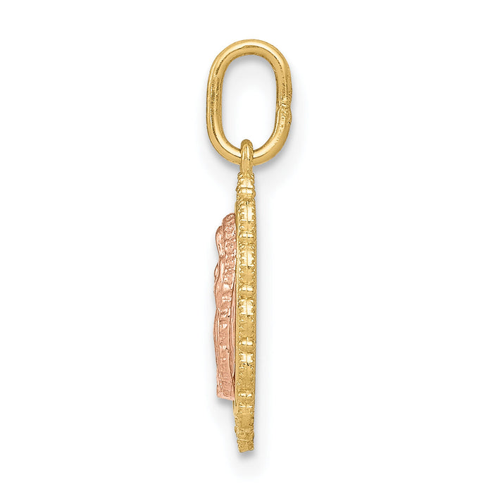 14k Two-tone Guadalupe Pendant-XR1252