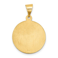 14k Polished and Satin Sacred Heart of Mary Medal Hollow Pendant-XR1262