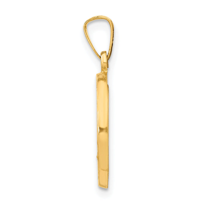 14k Polished and Satin Miraculous Medal Hollow Pendant-XR1270