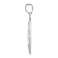 14k White Gold Polished/Satin Miraculous Medal Hollow Pendant-XR1278