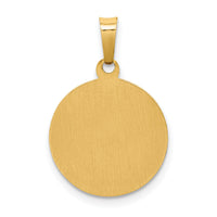 14k Polished and Satin St Francis Medal Hollow Pendant-XR1321