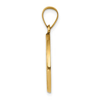 14k Polished and Satin St John Baptist Medal Hollow Pendant-XR1336