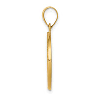 14k Polished and Satin St John Baptist Medal Hollow Pendant-XR1337