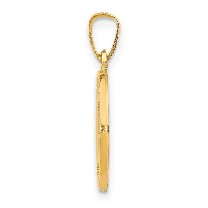 14k Polished and Satin St Luke Medal Hollow Pendant-XR1356
