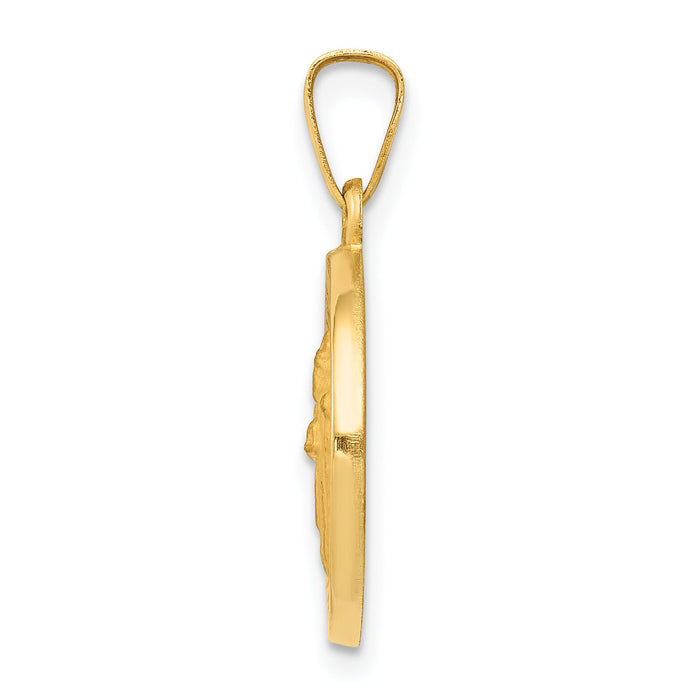 14k Polished and Satin St Patrick Medal Hollow Pendant-XR1372