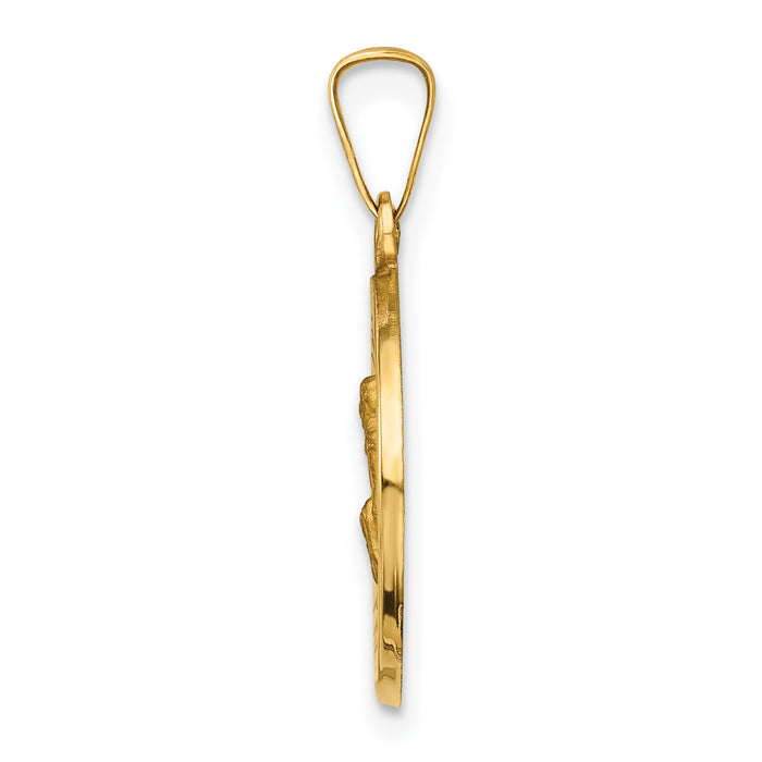 14k Polished and Satin St Peregrine Medal Hollow Pendant-XR1379