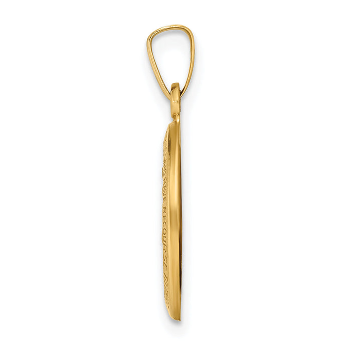 14k Polished and Satin Miraculous Medal Hollow Pendant-XR1401