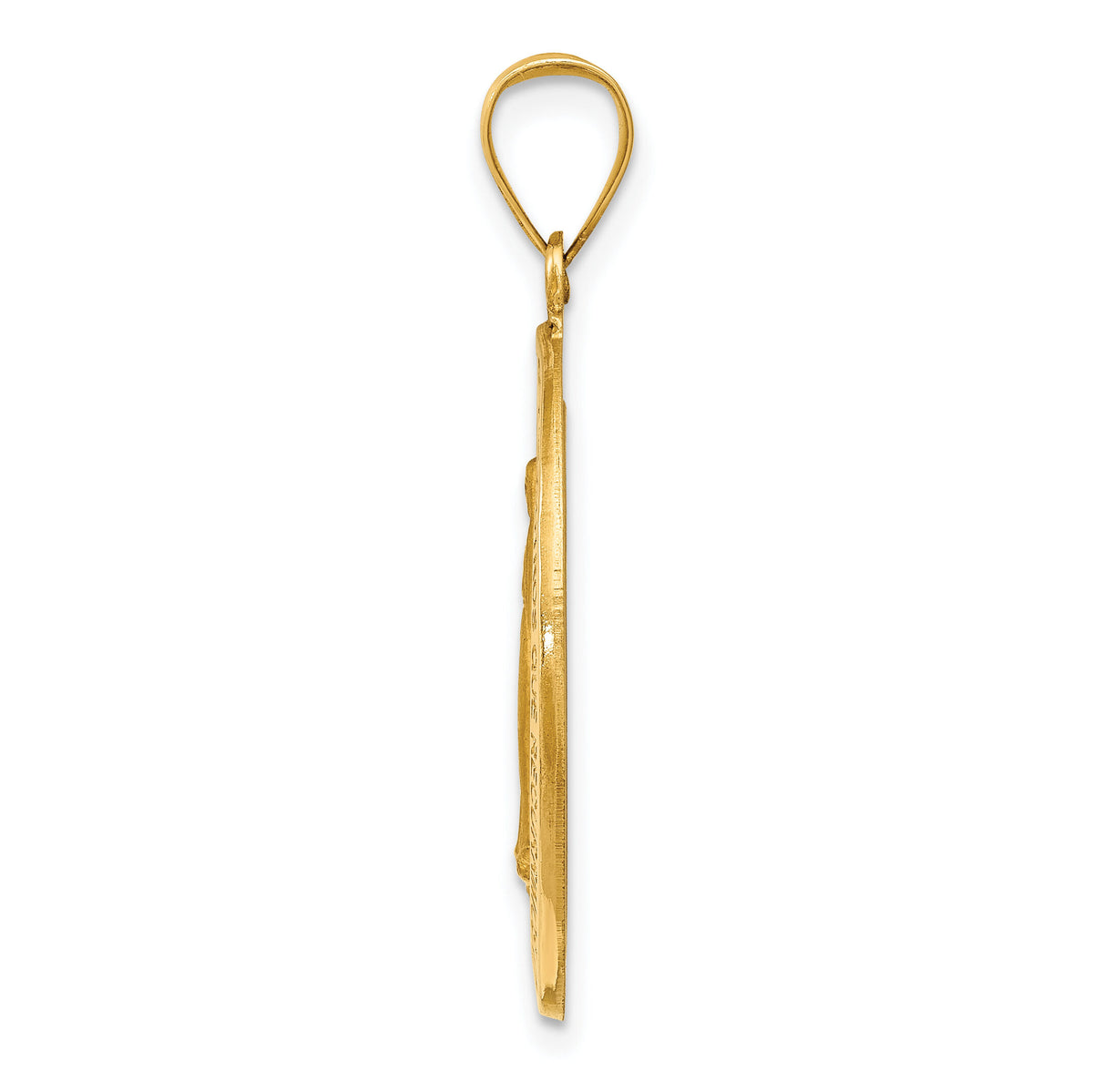 14k Polished and Satin Hollow Spanish Miraculous Medal Pendant-XR1672