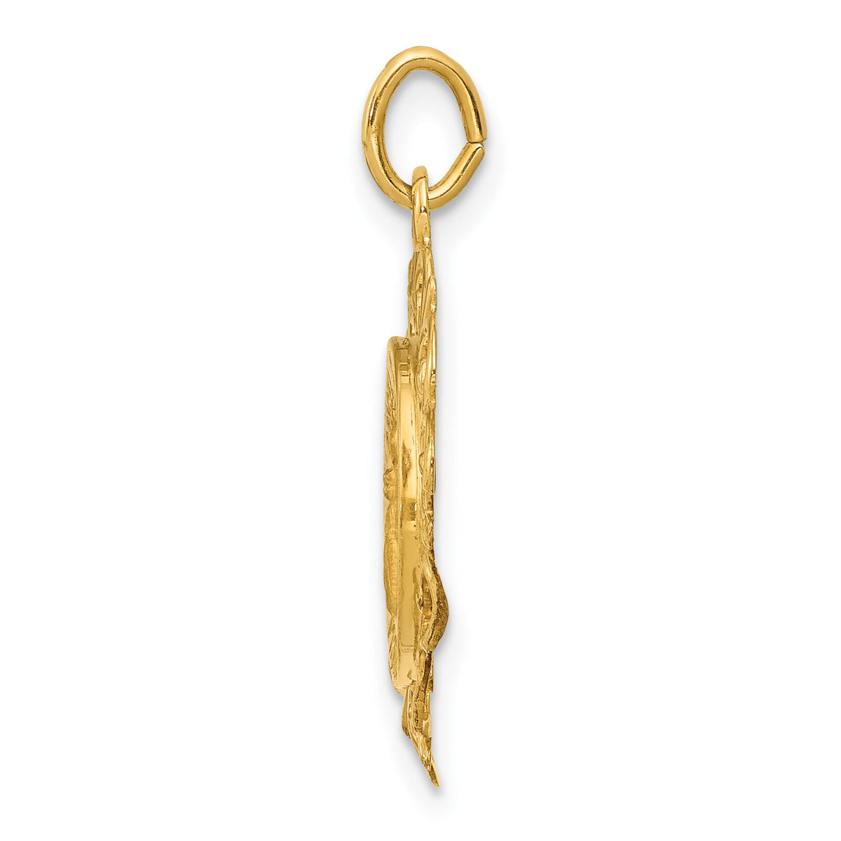 14k Polished/Satin Spanish Guardian Angel Medal Hollow Pendant-XR1676