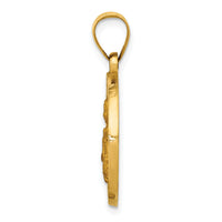 14K Polished/Satin St. Brigid Hollow Medal Pendant-XR1681