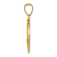 14K Polished/Satin St. Cecilia Hollow Medal Pendant-XR1683