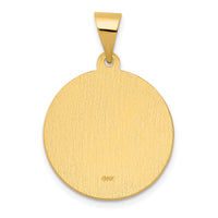 14K Polished/Satin Hollow Spanish San Jose Medal Pendant-XR1689