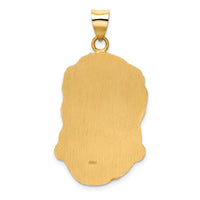 14k Hollow Polished/Satin Large Jesus Medal-XR1732