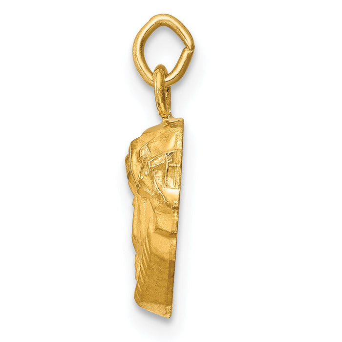 14k Hollow Polished/Satin Small Jesus Medal-XR1733