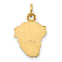 14k Hollow Polished/Satin Small Jesus Medal-XR1733