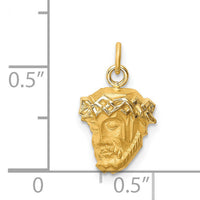14k Hollow Polished/Satin Small Jesus Medal-XR1733