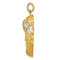 14K Hollow Polished/Satin w/Rhodium Large Jesus Medal-XR1736