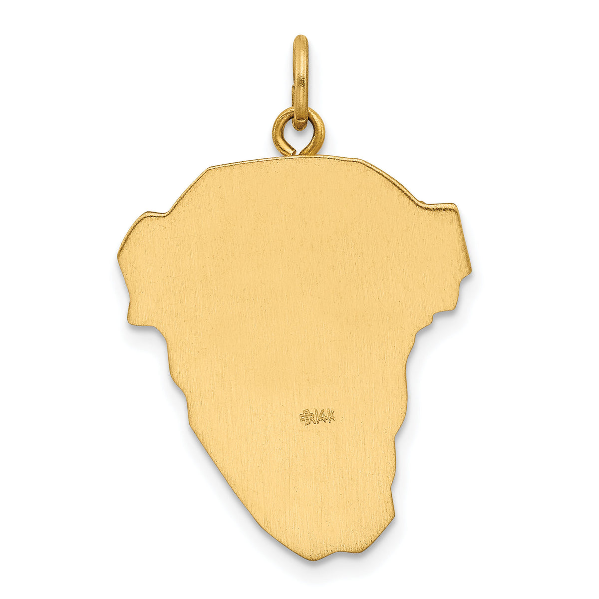 14K Hollow Polished/Satin w/Rhodium Large Jesus Medal-XR1736