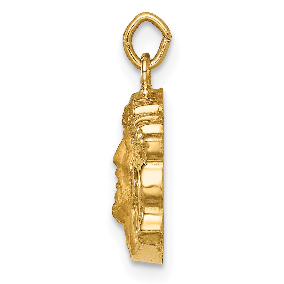 14k Hollow Polished/Satin Small Jesus Medal-XR1737