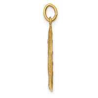 14k Solid Polished and Satin Oval Miraculous Medal-XR1748