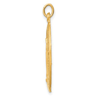 14k Solid Polished/Satin Medium Oval Miraculous Medal-XR1759