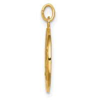 14k Solid Polished/Satin Round Miraculous Medal-XR1765