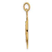 14k Solid Polished/Satin Medium Round Miraculous Medal-XR1769