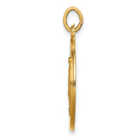 14k Solid Polished/Satin Small Round Miraculous Medal-XR1773