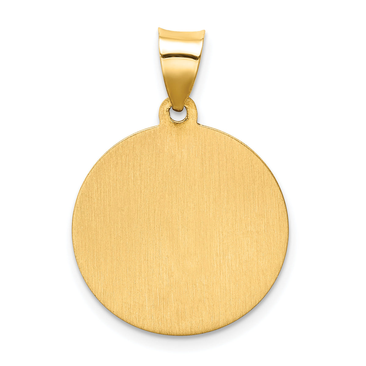 14k Hollow Polished/Satin Round St. Augustine Medal-XR1786