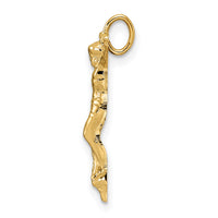 14k Polished Solid Risen Christ Chain Slide-XR1895