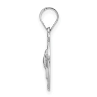 14k White Gold Polished and Satin Hollow Holy Spirit Pendant-XR1955