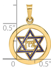 14k Polished and Enameled Solid Star of David Pendant-XR1965