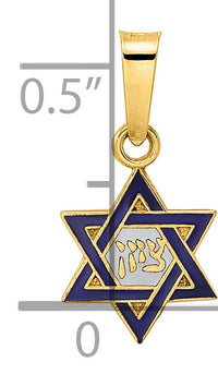 14k Polished and Enameled Solid Star of David Pendant-XR1971
